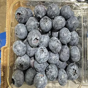 Fstsort Seeks Local Insight to Tailor Blueberry Packaging Solutions for Peruvian Industry
