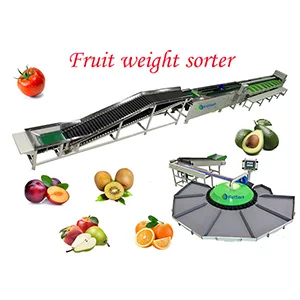 Automatic fruit sorting equipment