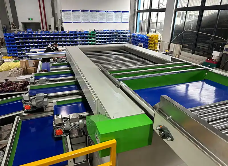 Turkish Onion Producer Efficiency by 30 percent with Fstsort Grader