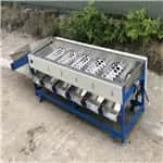 Citrus grading machine