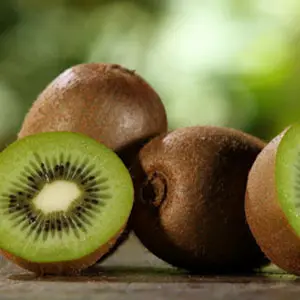 Automatic kiwi classifier