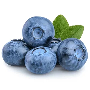 China Blueberry Industry Report