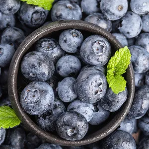 Fstsort sorting technology helps Namibia's blueberry industry take a step forward