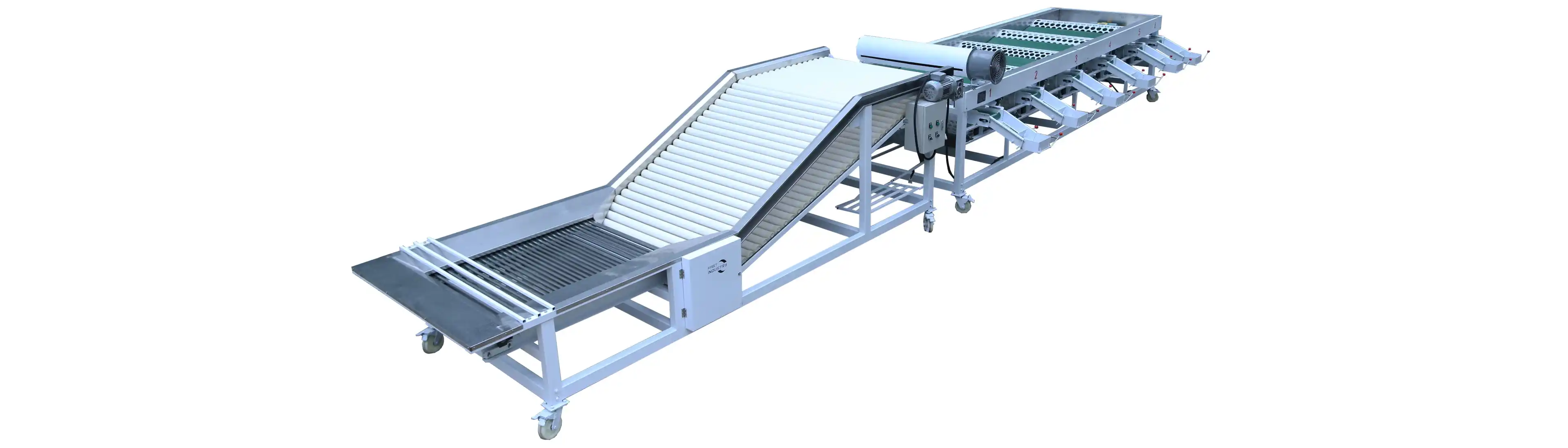 Onion Sorting Grading Machine - FstSort