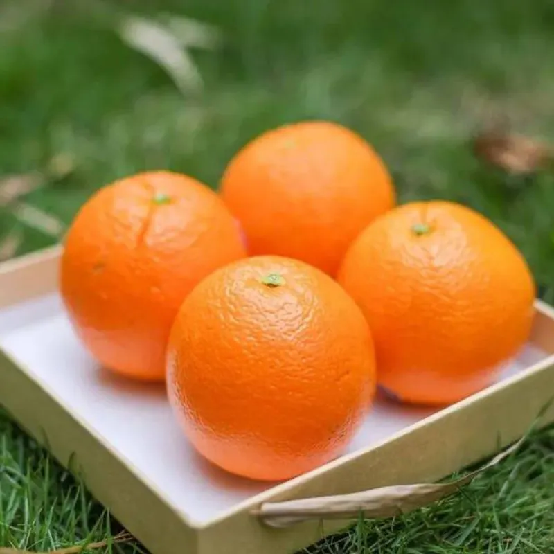 Australia's early navel orange season is about to start