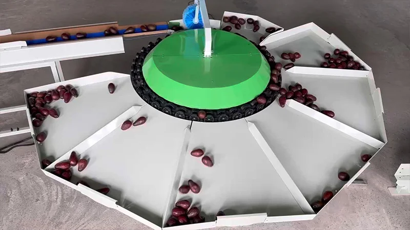 How to Choose a Suitable Avocado Grading Machine