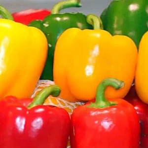 The Necessary Step For Offering Colored Bell Peppers