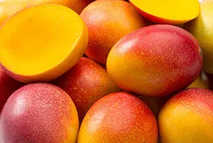 Fstsort's high-capacity integrated mango processing production line is being promoted to mango growers worldwide.