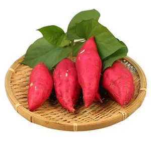 Sweet Potato automatic packing line