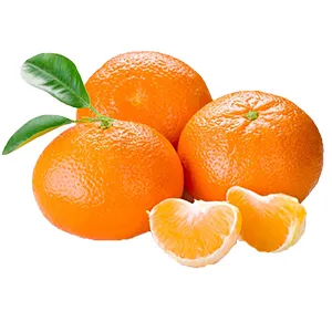 Cultivation conditions of mandarin orange