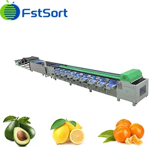Fstsort Post-harvest Fruit Electronic Weight Sorting Machine