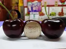 Las cerezas españolas apuntan al mercado chino