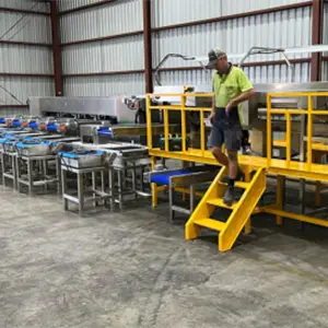 Custom Jujube Grading & Packing Line for Australia’s Largest Grower The Challenge: Multi-Class Sorting for Premium Jujube Markets