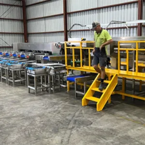 Custom Jujube Grading & Packing Line for Australia’s Largest Grower The Challenge: Multi-Class Sorting for Premium Jujube Markets