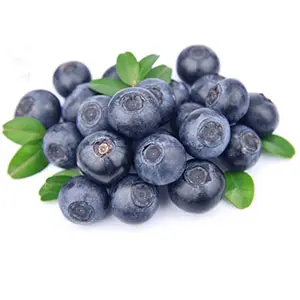 Blueberry grader customized for Europe market