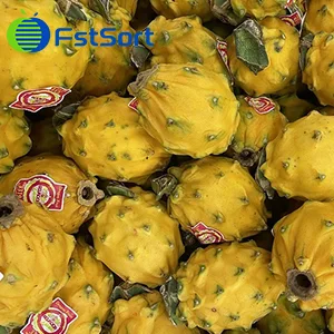 Pitahaya ecuatoriana está a punto de ingresar a China