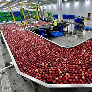 Apple's smart sorting makes Life better