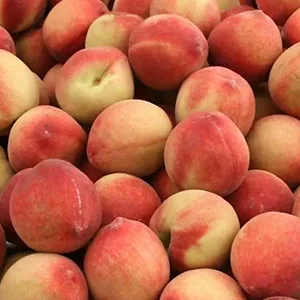 China Stone Fruit Annual Report