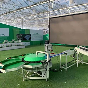 Mechanization makes the "vegetable basket and fruit plate" more stable