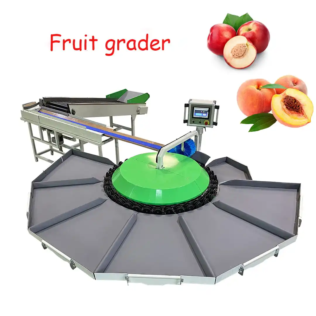 Compact fruit grading machine for sale