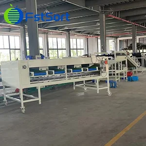 Pakistani Potato Grader With Expected Early Delivery