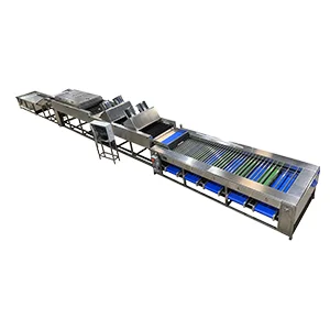 Stainless steel fruit sorting machine