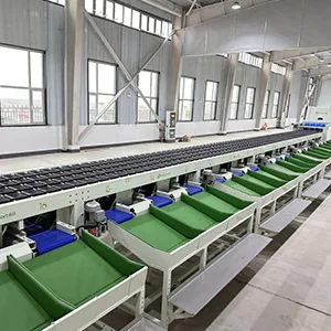 Optical sorting line