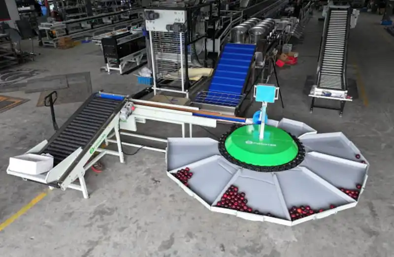 How to efficiently sort plums