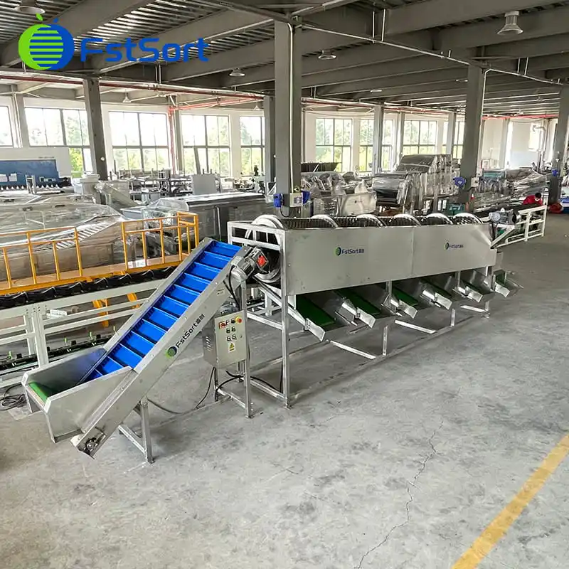 Walnuts grading machine