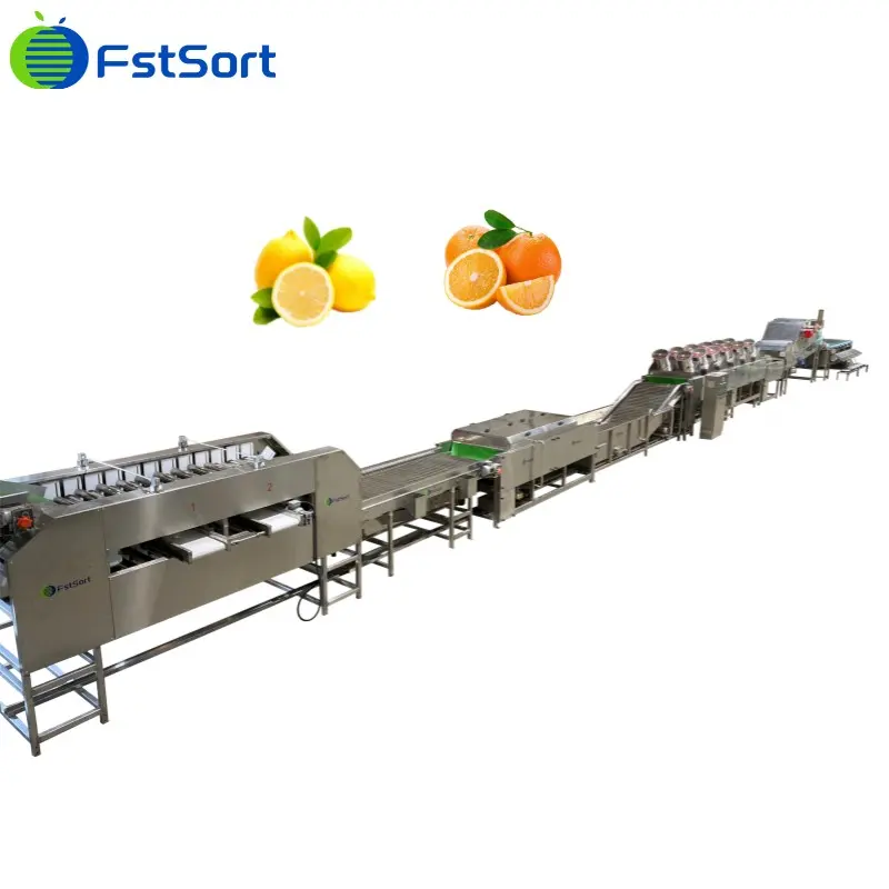 FstSort Lemon Processing Line
