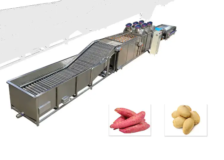 Big Fruit and Vegetable Drying Machine Manufacturer China