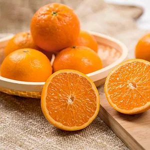 South African citrus faces a shortage of containers