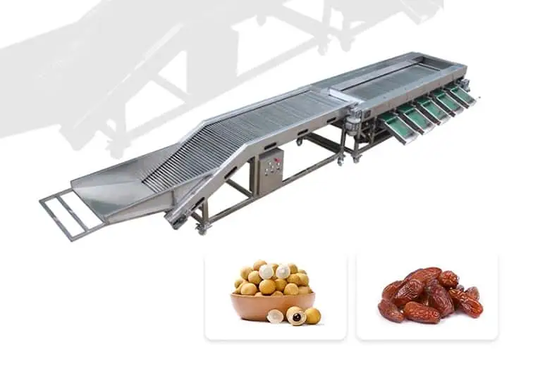 Fstsort dates washing drying sorting line customized Made in China