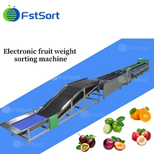 A sorting equipment based on multi-species fruits and vegetables