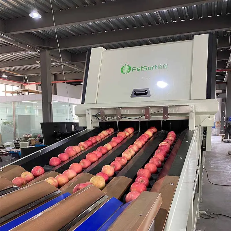 Optical sorting technology for apples in China is booming