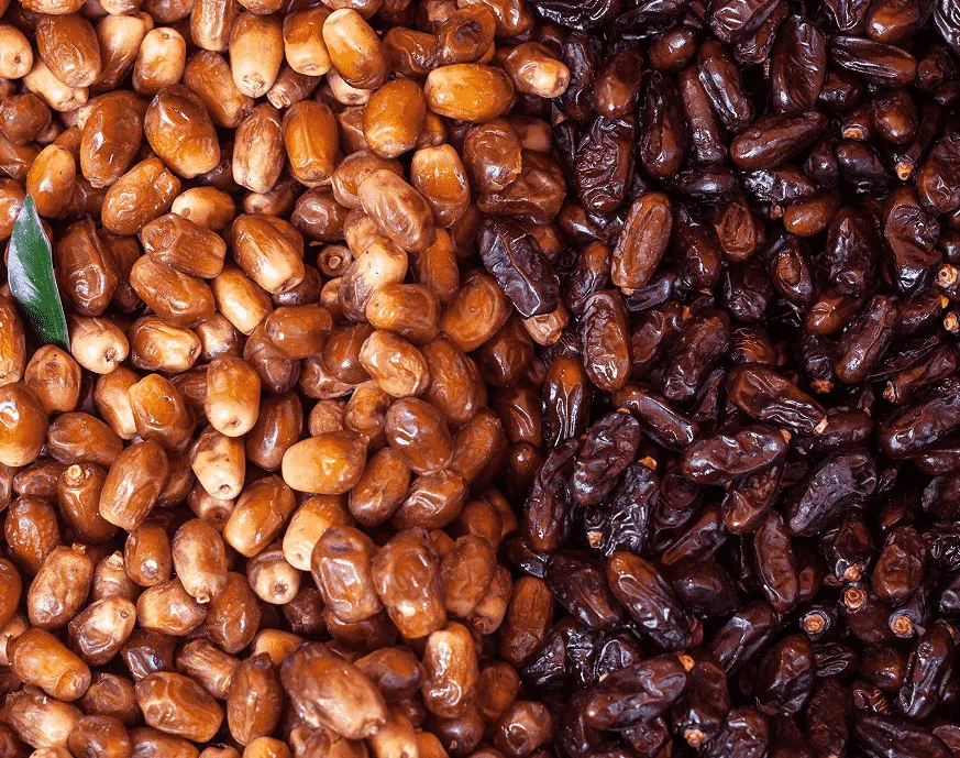 Customer Q&A and Feedback: Our Commitment to Continuous Improvement