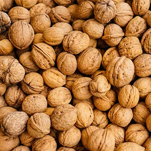 A good harvest of walnuts