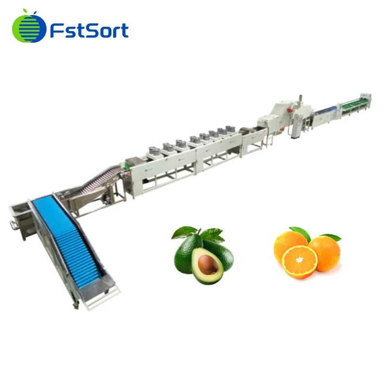 What is the status of the factory that bought the avocado line a year ago