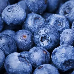 Peruvian blueberries have made another good export this season