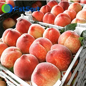 Peaches Grading Machine