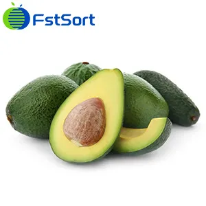 Se espera que la producción chilena de aguacate caiga un 14 por ciento en la temporada 2023