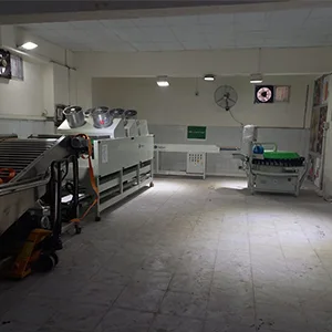 Máquina de cítricos puesta en funcionamiento en Egipto