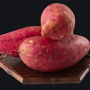 Sweet Potato Grading Machine