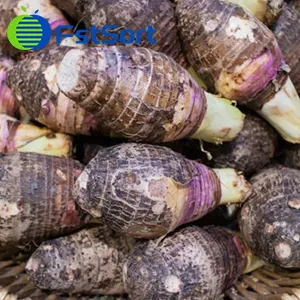 Taro Sorting Machine