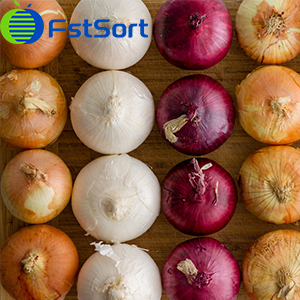 onion sorting machines,fstsort,ruller sorter,drum grader,vegetable sorting  grading machine,onion processing line,onion sizing packing machine