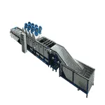 Dates washing drying and grading machine