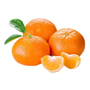 How to use tangerine cleaning waxing drying and grading machine