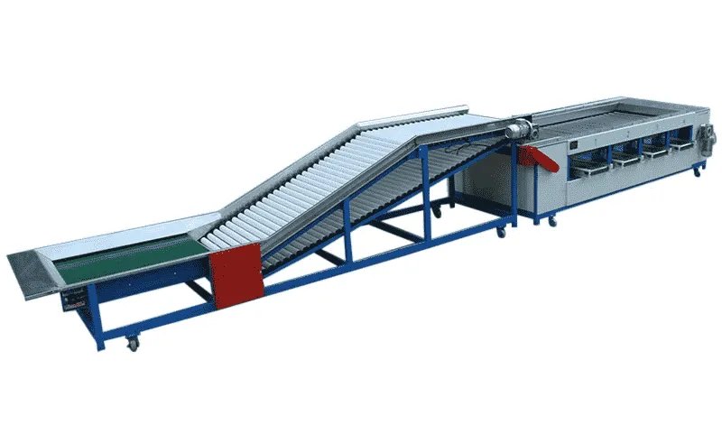 Bell Pepper Grading Machine - FstSort