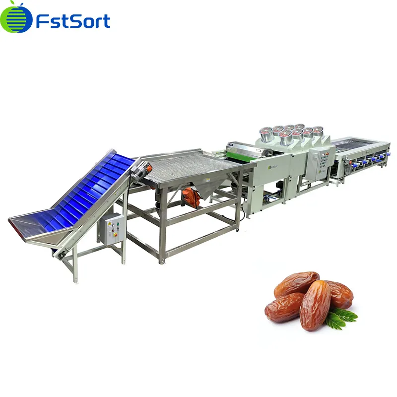 Jujube Grader About To Embark On a Trip To The Middle East