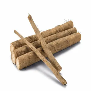 Fstsort's Innovative Burdock Processing Technology Set to Transform South Korea's Export Industry